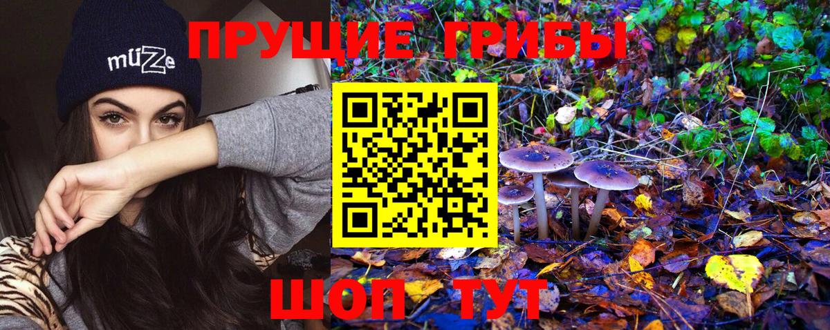 Галлюциногенные грибы Cubensis Владикавказ